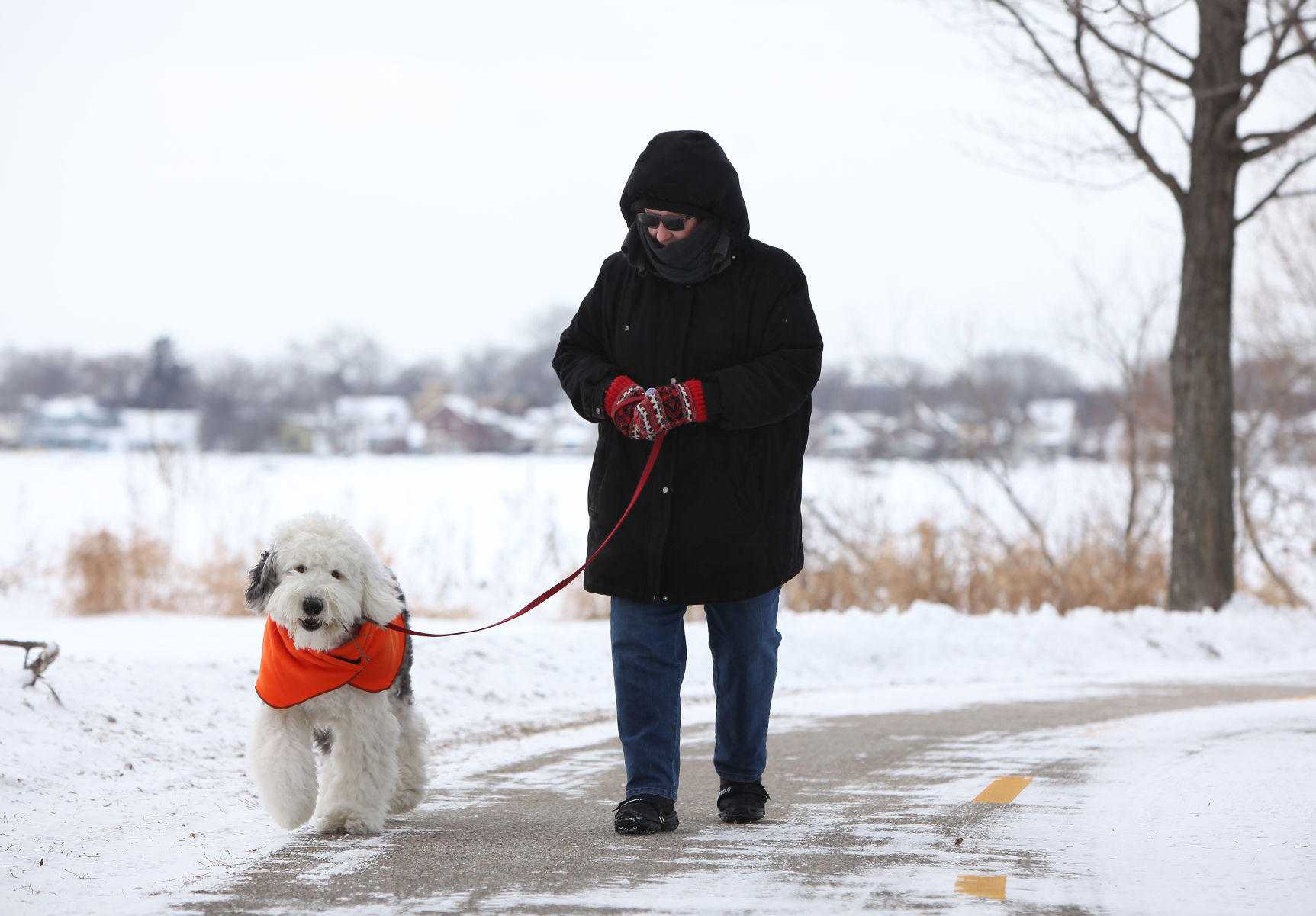 2014 polar vortex